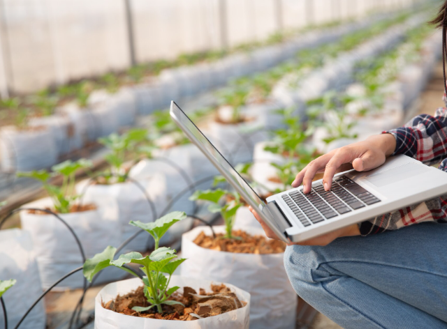 Financial reporting image