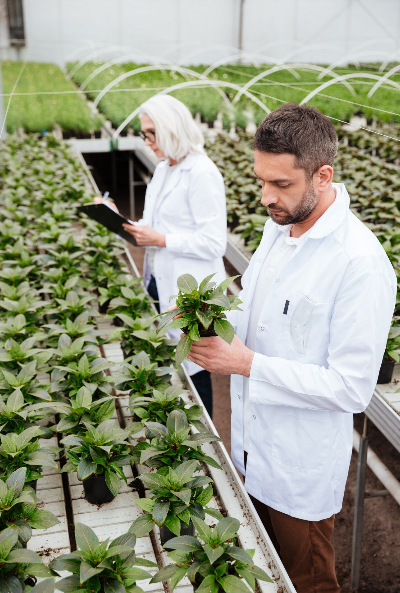 Inventory Management image